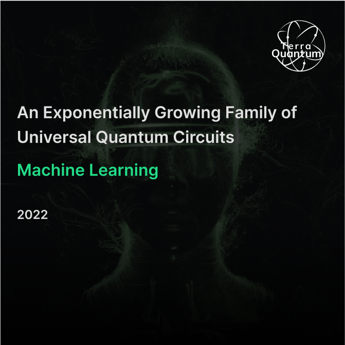 An Exponentially Growing Family of Universal Quantum Circuits